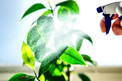 Illustration spritzer - Image 1