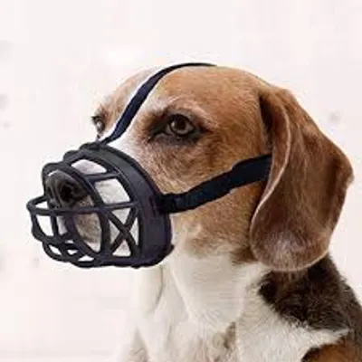 Illustration muzzle - Image 2