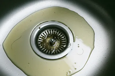 Illustration drained - Image 1