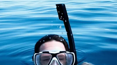Illustration snorkel