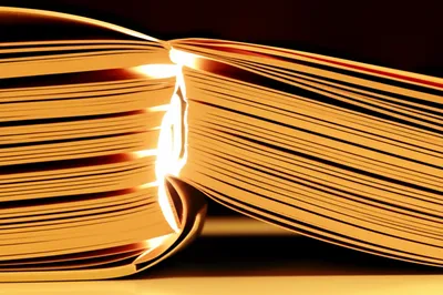 Illustration revealing - Image 1