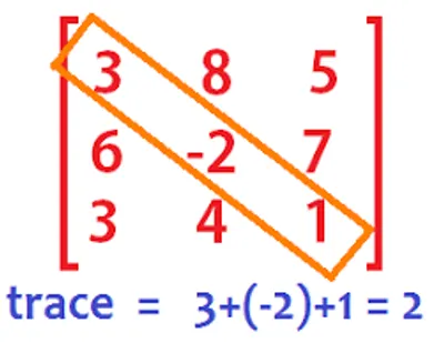 Illustration trace - Image 2