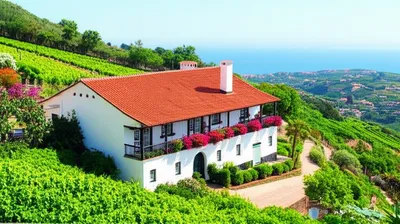 Illustration quintas - Image 1