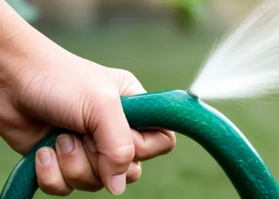 Illustration strangulate