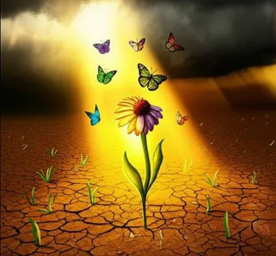 Illustration cheered - Image 1