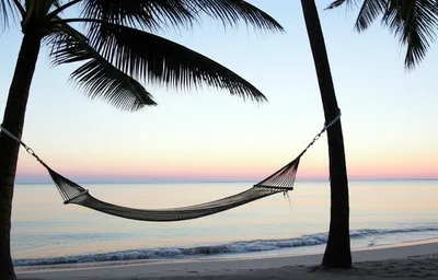 Illustration calms - Image 1