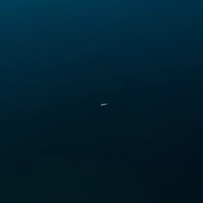 Illustration minnows - Image 1