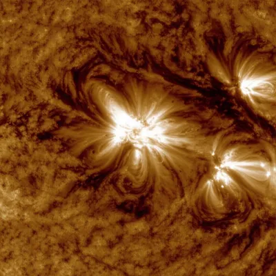 Illustration granule - Image 1