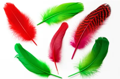 Illustration styles - Image 1