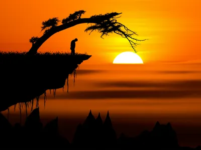 Illustration warns - Image 1