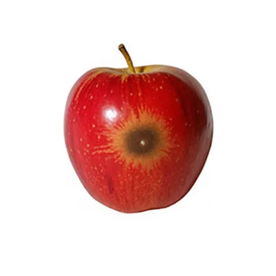 Illustration discoloration