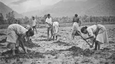 Illustration toil - Image 2