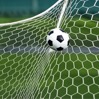 Illustration netting - Image 1