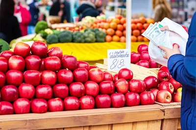 Illustration commodity - Image 1