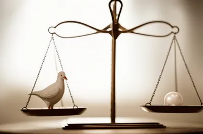 Illustration nicely - Image 1