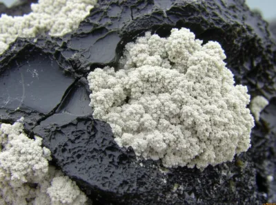 Illustration perlite - Image 1