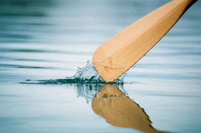 Illustration catch - Image 1