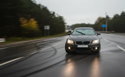 Illustration fishtailed