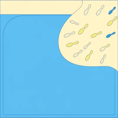 Illustration spermicides