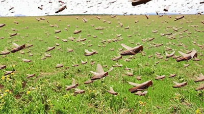 Illustration invading - Image 1