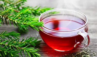 Illustration rooibos - Image 1