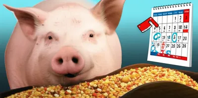 Illustration finishes - Image 1