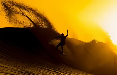 Hình ảnh minh họa rip - Ảnh 1