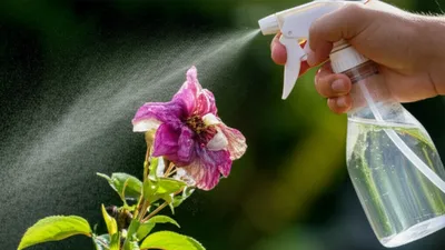 Illustration neutralise - Image 1