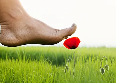 Illustration insult - Image 1