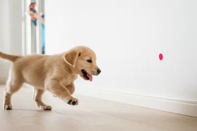 Illustration unsuspecting