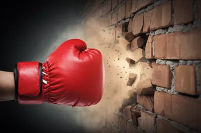 Illustration socks - Image 1