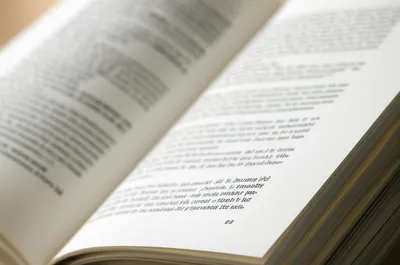 Illustration rectos - Image 1