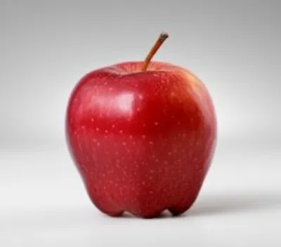 Illustration simples - Image 1