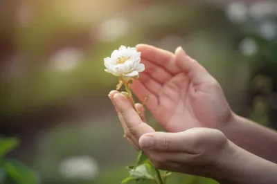 Illustration midwifed - Image 1