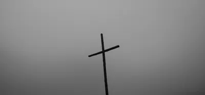 Illustration trees - Image 1