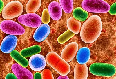 Illustration culture - Image 1