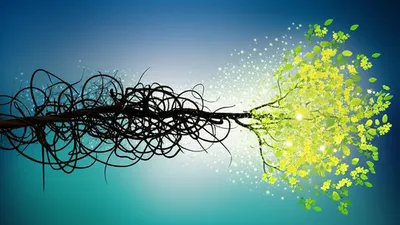 Illustration cure - Image 1