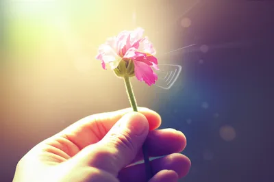 Illustration undoing - Image 1