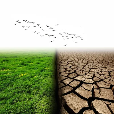 Illustration divided - Image 1