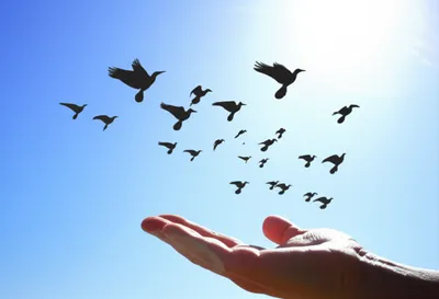 Illustration remitted - Image 1