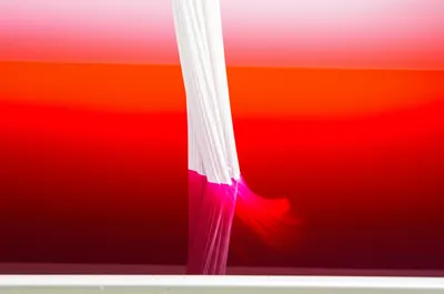 Illustration crimson - Image 1