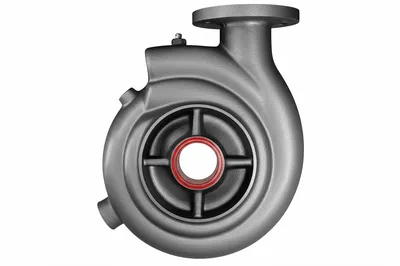 Illustration volute - Image 1