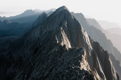 Hình ảnh minh họa rig - Ảnh 1