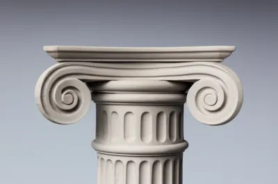 Illustration volutes