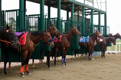 Illustration acceptance - Image 1