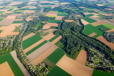 Illustration parcels - Image 1