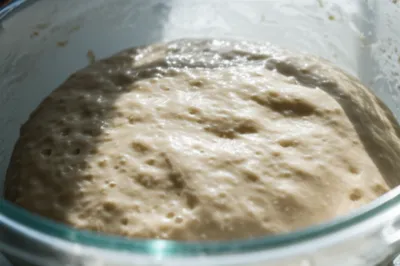 Illustration leavening - Image 1