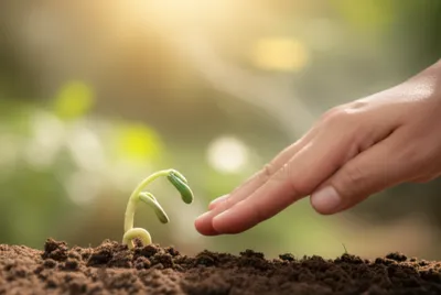 Illustration prodding - Image 1