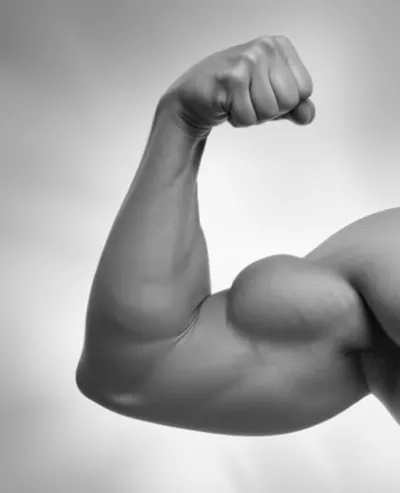 Illustration boldfaced - Image 1