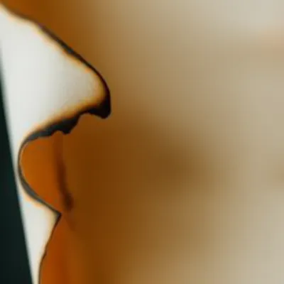 Illustration singe - Image 1